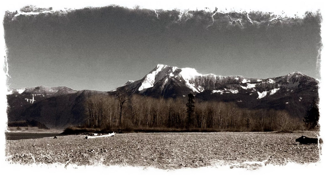 Exploring Tranquility: Fishing the Vedder River in Chilliwack, BC